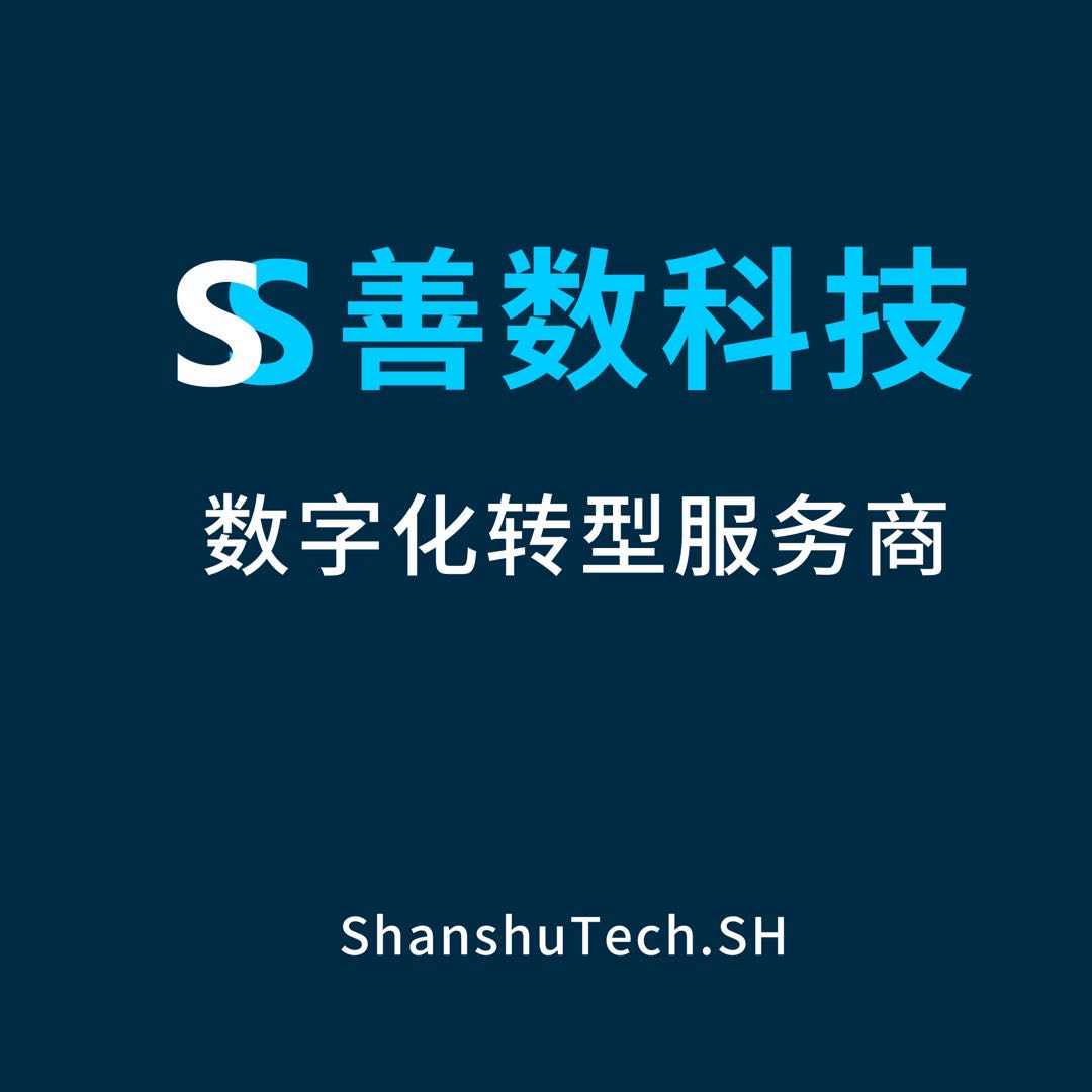 上海善数信息科技有限公司